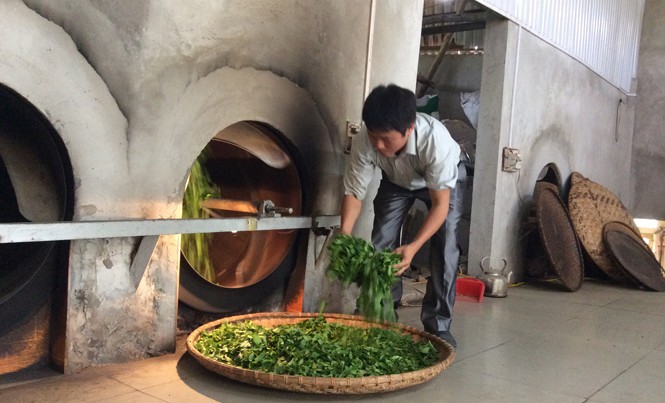 Vợ chồng trẻ lập nghiệp từ vốn vay Máy sao chè, hút chân không từ nguồn vốn vay của NH CSXH.