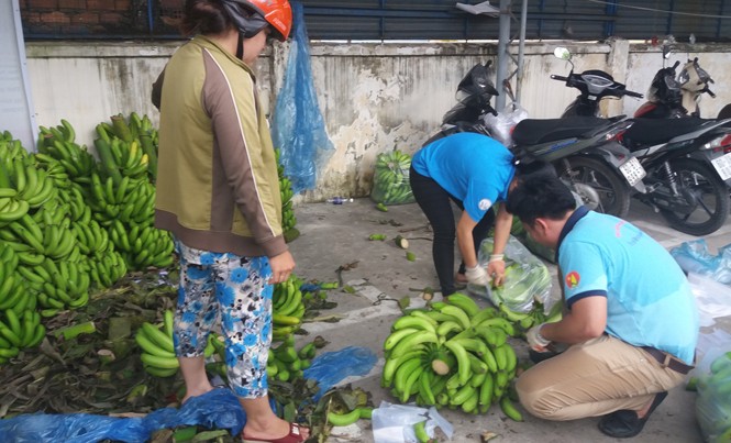 Đồng Nai lập ban chỉ đạo 'giải cứu chuối' Đồng Nai lập ban chỉ đạo 'giải cứu chuối'