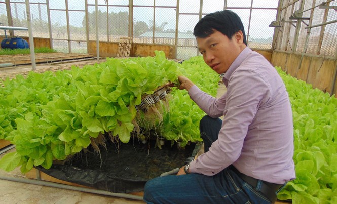 Thu tiền tỷ từ rau thủy canh Anh Nguyễn Văn Tuấn bên sản phẩm rau thủy canh. Ảnh: N.T.