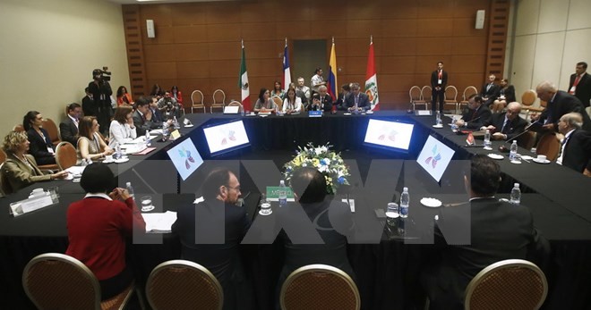 4 nước ASEAN sẽ bàn về tương lai TPP tại Hà Nội Toàn cảnh Hội nghị thảo luận về tương lai TPP của Liên minh Thái Bình Dương ở Vina del Mar, Chile ngày 14/3. (Nguồn: EPA/TTXVN)