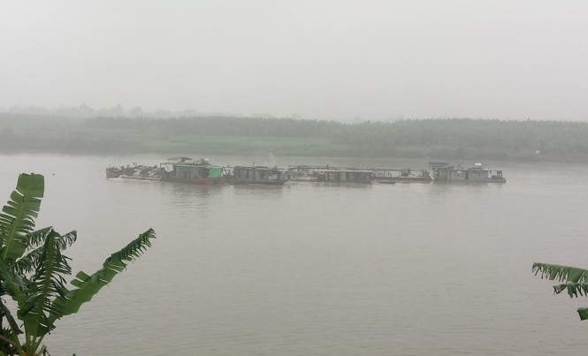 'Cát tặc' vẫn hoành hành lúc nửa đêm Các tàu thuyền khai thác cát của Cty TNHH My Hương. Ảnh: Đ.H.