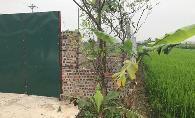 Nhiều công trình trái phép tồn tại trên đất nông nghiệp Công trình xây dựng nhan nhản mọc trên đất nông nghiệp tại huyện Đông Anh. Ảnh: M.Đ.
