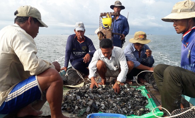 Khóc ròng vì nghêu, cá chết trắng bờ biển Số nghêu được cào lên chỉ còn vỏ.