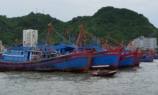 Đề án khai thác thủy sản viễn dương: Hơn 26.000 tỷ đồng cho đội tàu, có nóng vội? Các chuyên gia cho rằng, việc phát triển đội tàu viễn dương cần tính toán, có lộ trình và phù hợp nguyện vọng, khả năng của ngư dân, doanh nghiệp. Ảnh: Bình Phương.