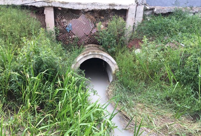 Nhà máy gạch gây ô nhiễm vẫn hoạt động Cống chảy chất thải màu trắng đục ra bên ngoài ruộng của người dân.