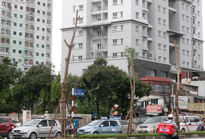 Thừa nhà tái định cư, lãng phí kéo dài Nhà tái định cư trên phố Tạ Quang Bửu (Hai Bà Trưng, Hà Nội) bị bỏ hoang gần 10 năm. Ảnh: Như Ý.
