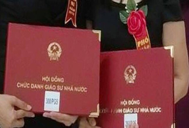 Rất ít giáo sư đang nghiên cứu, vì sao? Việt Nam có 1.600 giáo sư, nhưng chỉ khoảng 200-300 vị trong số này còn hoạt động nghiên cứu khoa học.