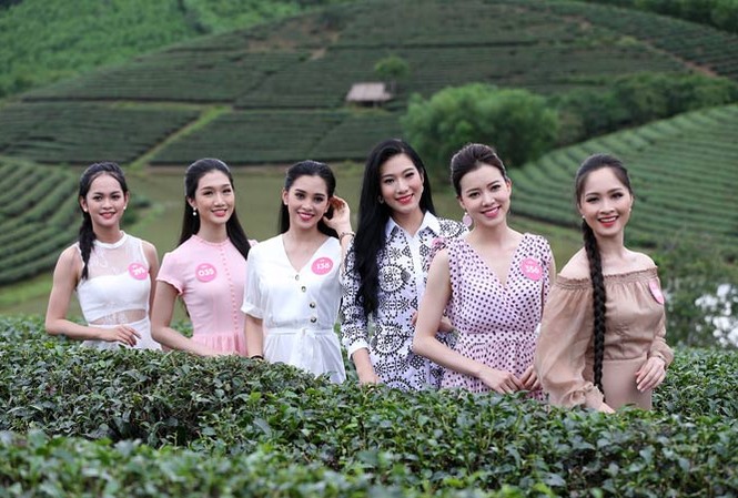 Ðảo chè Thanh Chương đón thí sinh Hoa hậu Vẻ tươi tắn của thí sinh Hoa hậu càng thêm nổi bật giữa khung cảnh đảo chè Thanh Chương. Ảnh: Mạnh Thắng.