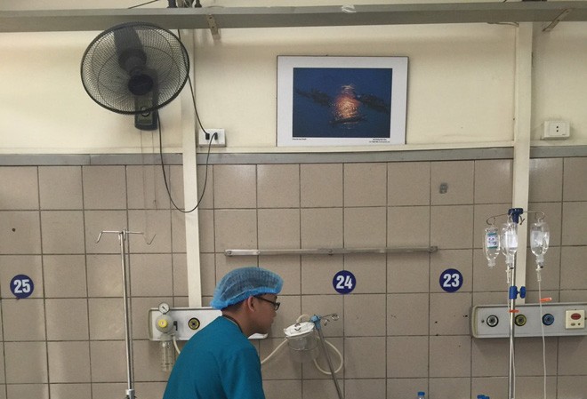 Báo động tự tử bằng thuốc trừ sâu paraquat Bác sĩ đang điều trị cho bệnh nhân ngộ độc paraquat.