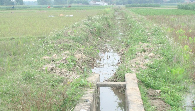 “Minh oan cho Hàn Đức Long không khó” Khu vực kênh nơi xác định là địa điểm Hàn Đức Long gây án