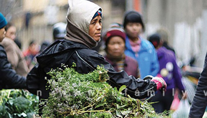Hương hoa mùi Hương hoa mùi