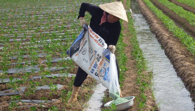 Công nghệ là chìa khóa để nông nghiệp hội nhập Phân bón Neb-26 là loại phân bón thế hệ mới, giúp điều hòa dinh dưỡng cho đất, tăng năng suất, giảm chi phí đầu vào cho cây trồng. Ảnh: Lê Ngân