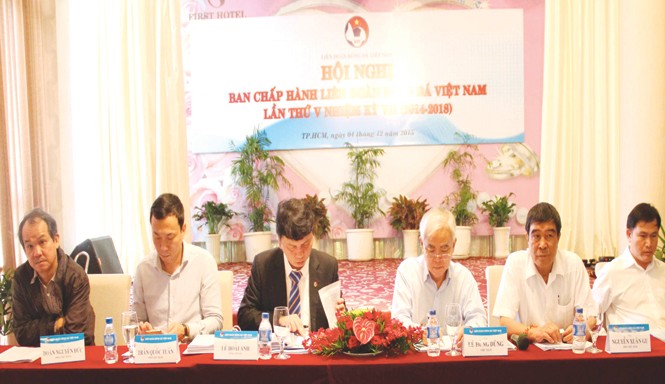 Có gì ở đại hội thường niên VFF? Vấn đề nội bộ lãnh đạo cấp cao VFF có thống nhất ý chí hay không đang được dư luận chú ý hiện nay. Ảnh: VSI