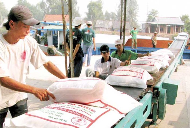 Giá gạo xuất khẩu Việt Nam đang cao hơn Thái Lan Ảnh minh họa
