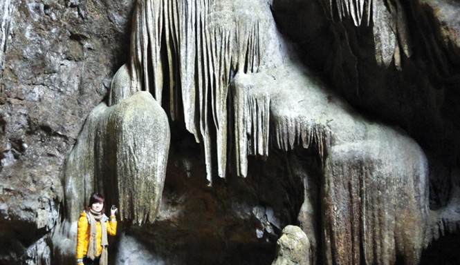 Huyền bí những linh vật ở Di sản Tràng An Hang Bói hay còn gọi động Người Xưa xuất hiện rắn có mào. Ảnh: Đức Hoàng