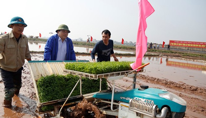 Mong muốn một Hà Nội giàu, đẹp, thanh lịch Bí thư Thành ủy Hà Nội Hoàng Trung Hải (giữa) điều khiển máy cấy cùng nông dân Nam Triều (Phú Xuyên) ngày 14/2. Ảnh: Zing.vn