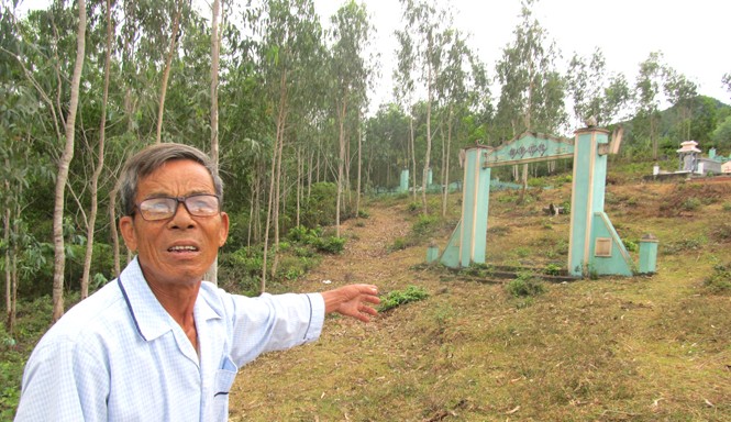 Bức xúc vì hàng ngàn sổ đỏ bị treo Ông Võ Hưng chỉ nơi mảnh đất trồng rừng bị treo sổ đỏ mấy năm nay. Ảnh: Nam Cường