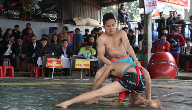 Nơi thu hút lão đô, thiếu đô Hội vật Ninh Hiệp
