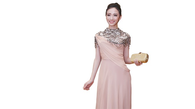 Tranh thủ lên tiếng? Trương Hồ Phương Nga