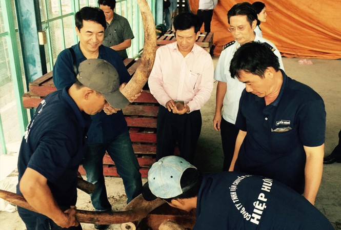 Tang vật vi phạm 'bốc hơi': Người ra quyết định tạm giữ cũng bị xử lý Tang vật vi phạm 'bốc hơi': Người ra quyết định tạm giữ cũng bị xử lý