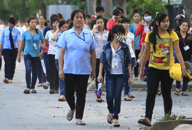 Thực trạng thải lao động lớn tuổi làm 'nóng' diễn đàn Quốc hội Lao động lớn tuổi đang đối mặt thực tế bị thay thế. Ảnh minh hoạ: Như Ý.