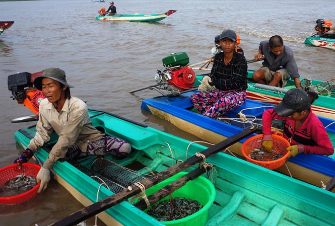Bài cuối: Ngậm ngùi và trăn trở Người dân nghèo lén lút “hái lượm” trên Bãi Bồi hoặc đi Bình Dương.