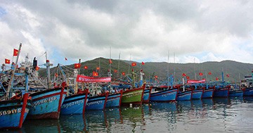 Giám đốc cảng cá Quy Nhơn sẽ mất việc nếu… Đoàn tàu đánh cá Bình Định. Ảnh: Hồng Vĩnh