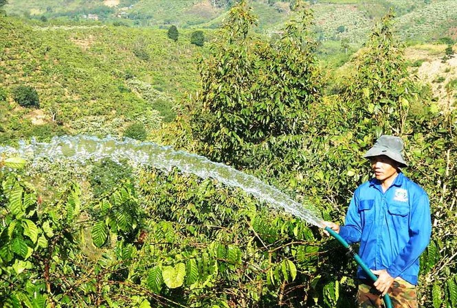 Nguy cơ lao động Việt Nam thua trên 'sân nhà' Anh Nguyễn Văn Trí, công nhân một công ty sản xuất điện - điện tử ở TPHCM quyết định trở về quê ở Đăk Nông để trồng cà phê vì thu nhập không đủ sống