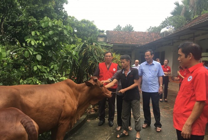 BẢN TIN TÌNH NGUYỆN: Trao tặng bò giống cho người nghèo Trao tặng bò giống tới hộ dân có hoàn cảnh khó khăn huyện Phù Ninh, tỉnh Phú Thọ