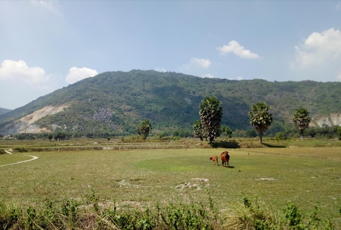 Nắng nóng bủa vây ĐBSCL, nuôi thủy sản gặp khó Cánh đồng khô cằn ở huyện Tri Tôn (An Giang) ẢNH: HÒA HỘI