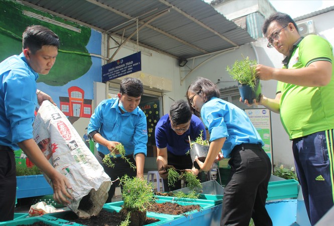 Sống xanh bắt đầu từ nơi làm việc Thanh niên quận 3 tạo dựng mảng xanh tại cơ quan