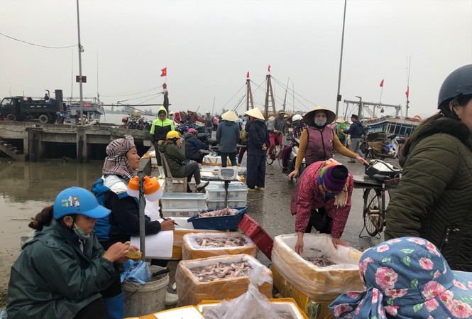 Dân phản đối vào chợ đầu mối thủy sản mới Ngư dân và thương lái bán cá tại Cảng cá Lạch Hới