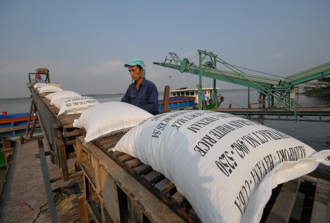 Nhiều DN cho rằng, hạn chế xuất khẩu gạo sẽ khiến họ rơi vào cảnh thua lỗ nặng. Ảnh: Phương Chăm
