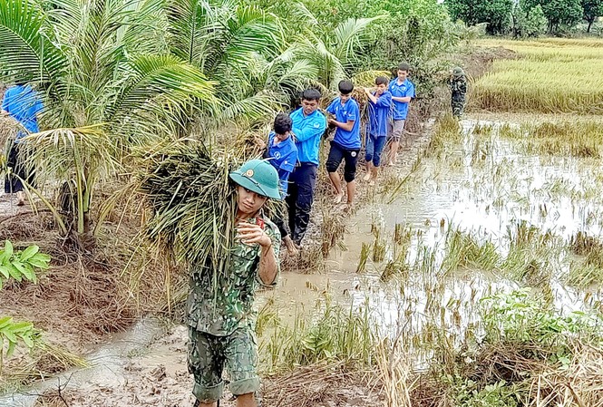 Đắk Lắk: Huy động nguồn lực giúp dân khắc phục hậu quả sau mưa lũ Lực lượng tình nguyện huyện Ea Súp giúp dân thu hoạch lúa.
