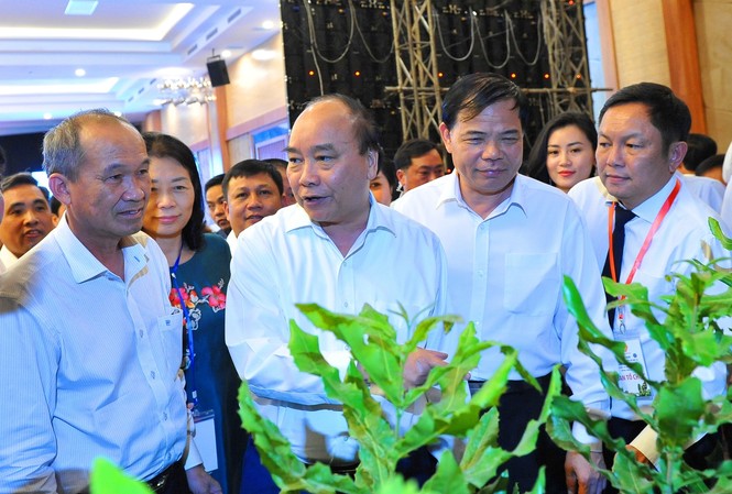 Thủ tướng Nguyễn Xuân Phúc tìm hiểu giống cây Mắc ca