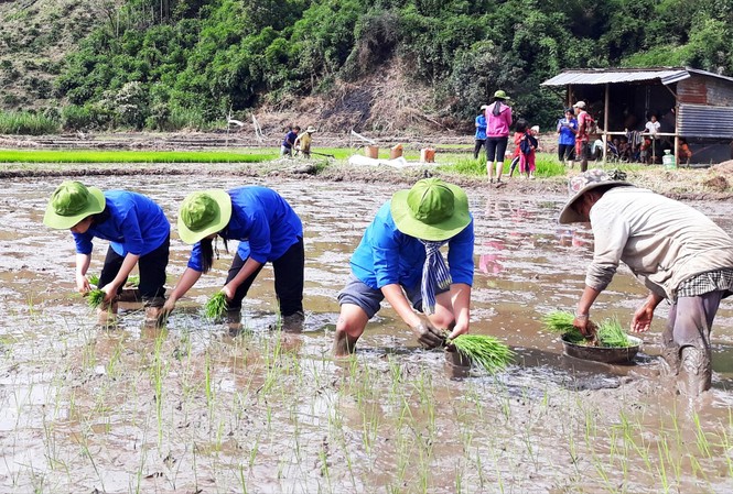 Làm thế nào để Luật Thanh niên 2020 sớm đi vào cuộc sống? Luật Thanh niên 2020 có chính sách cho thanh niên tình nguyện Ảnh: PV