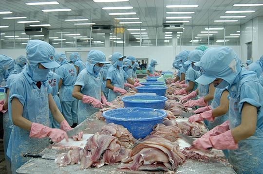 Hiệp định thương mại tự do Việt Nam - EU: Rộng cửa cho xuất khẩu Nông sản, thủy sản sẽ được hưởng lợi lớn từ EVFTA. Ảnh: Châu Anh