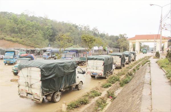 Tinh bột, sắn lát gặp khó khi xuất khẩu Xe hàng tinh bột sắn gặp khó xuất khẩu sang Trung Quốc