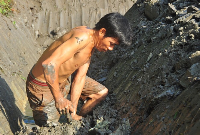 Cạp đất mưu sinh Ông Nguyễn Văn Thanh đào đất . ẢNH: HÒA HỘI