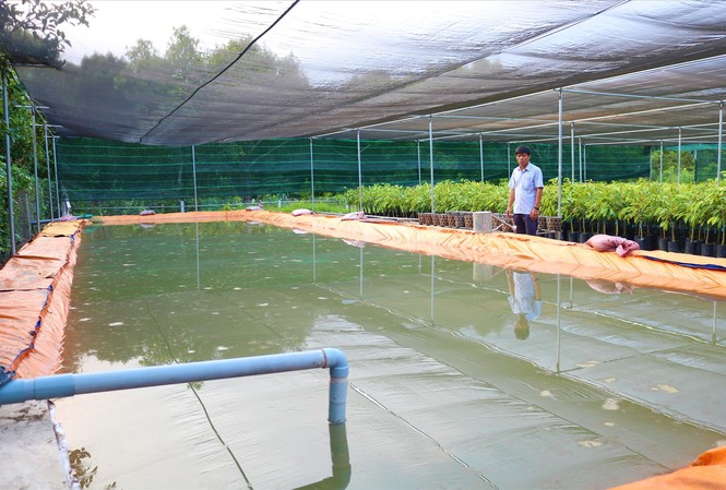Gian nan sống với hạn mặn Ao nước dã chiến với sức chứa 70m3 của ông Oanh
Ảnh: Kim Hà