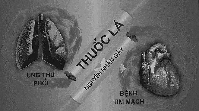 Hút thuốc lá và tác hại của hút thuốc lá tới sức khỏe con người Hút thuốc lá và tác hại của hút thuốc lá tới sức khỏe con người
