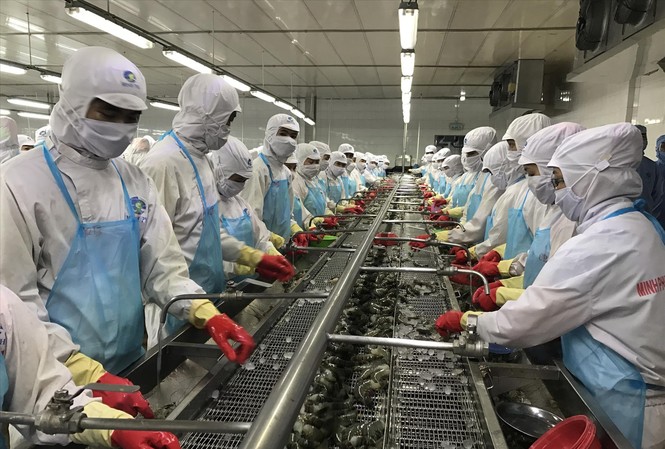 Hiệp định EVFTA: Mù mờ thông tin, hiệu quả sẽ rất thấp Nguồn gốc, xuất xứ hàng hóa là thách thức lớn với các DN Việt Nam xuất khẩu sang EU ảnh: Bình Phương