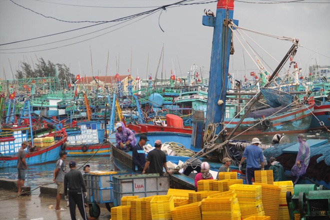 Sơ tán hàng vạn dân ứng phó bão số 9 Nhiều tàu thuyền đã cập Cảng cá Quy Nhơn để tránh bão số 9. Ảnh: P.V