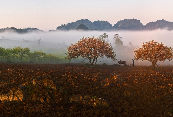 Dứt bỏ những cuộc đua huy chương, giải thưởng Dứt bỏ những cuộc đua huy chương, giải thưởng