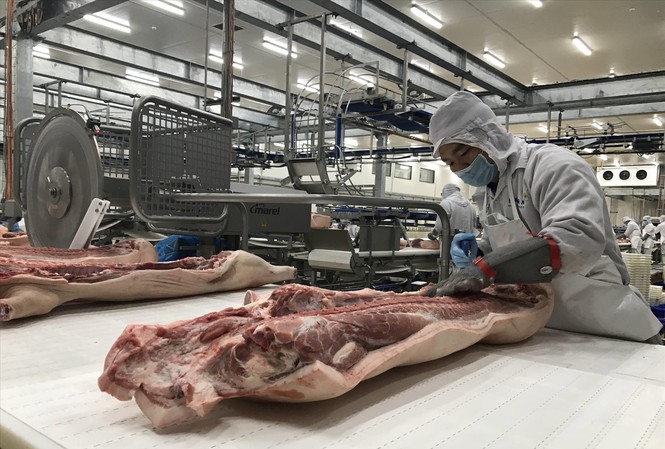 Đầu tư mạnh vào nông nghiệp: Các “đại gia” toan tính gì? Các tập đoàn, DN lớn đã rót hơn 20.000 tỷ đồng vào các dự án chế biến, bảo quản nông sản trong năm 2019. Ảnh: Bình Phương