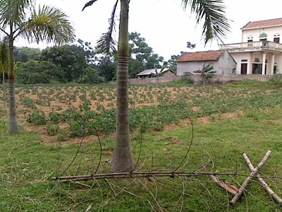 Trường hợp nào phải thỏa thuận với dân khi thu hồi đất? Trường hợp nào phải thỏa thuận với dân khi thu hồi đất?