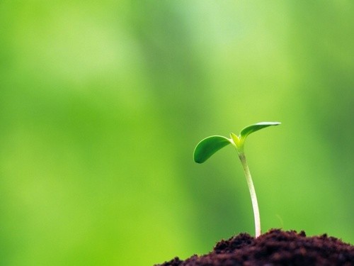 Cái đáng hưởng nhất lại bí mật nhất! Cái đáng hưởng nhất lại bí mật nhất!