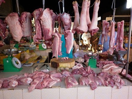 Hoang mang tin 'giòi' lúc nhúc trong thịt lợn Hoang mang tin 'giòi' lúc nhúc trong thịt lợn