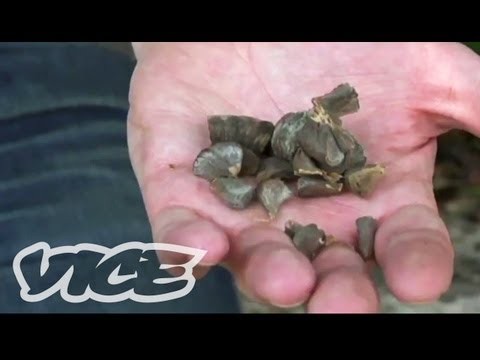 Loại thuốc đáng sợ nhất thế giới Loại thuốc đáng sợ nhất thế giới