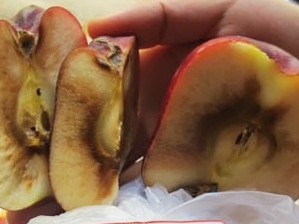 Siêu thị bán tháo hoa quả thối, dân ham rẻ cố mua Siêu thị bán tháo hoa quả thối, dân ham rẻ cố mua